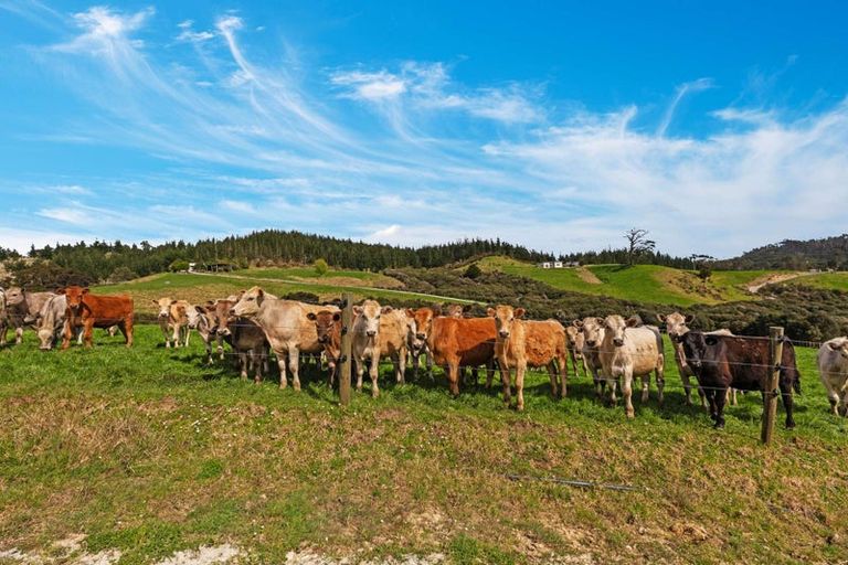 Photo of property in 5 William James Lane, Makarau, Warkworth, 0984