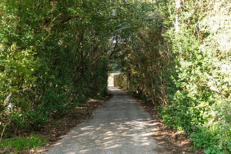 Photo of property in 250 Upper Manaia Road, Upper Plain, Masterton, 5888