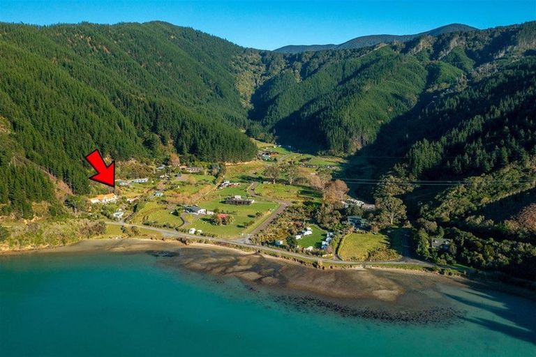 Photo of property in 1476 Port Underwood Road, Port Underwood, Picton, 7281