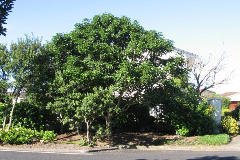 Photo of property in 14 Moenui Avenue, Orewa, 0931