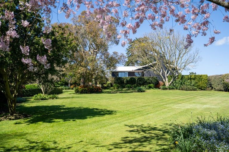 Photo of property in 229 Norwegian Road, Rotoorangi, Cambridge, 3495