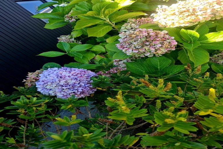 Photo of property in 56 Manly Street, Paraparaumu Beach, Paraparaumu, 5032