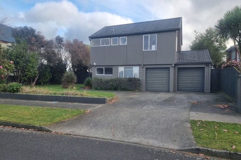 Photo of property in 43 Dittmer Drive, Awapuni, Palmerston North, 4412