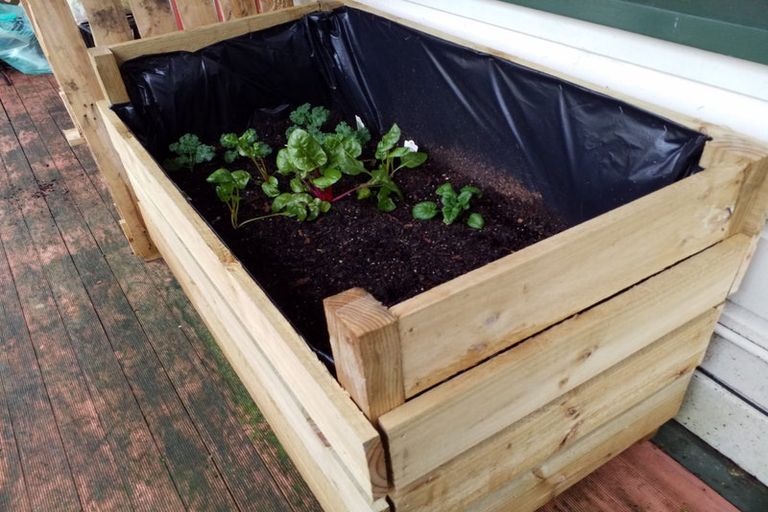 Photo of property in 6/205 The Terrace, Wellington Central, Wellington, 6011