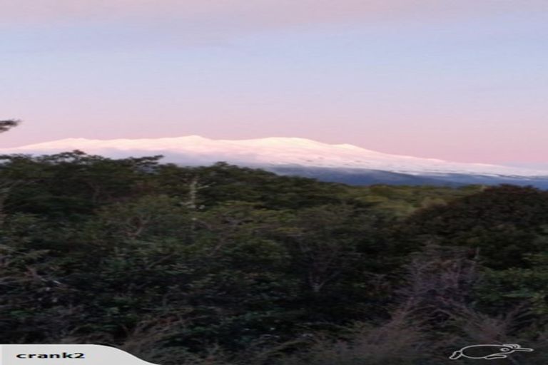 Photo of property in 552 Cuff Road, Erua, Owhango, 3990