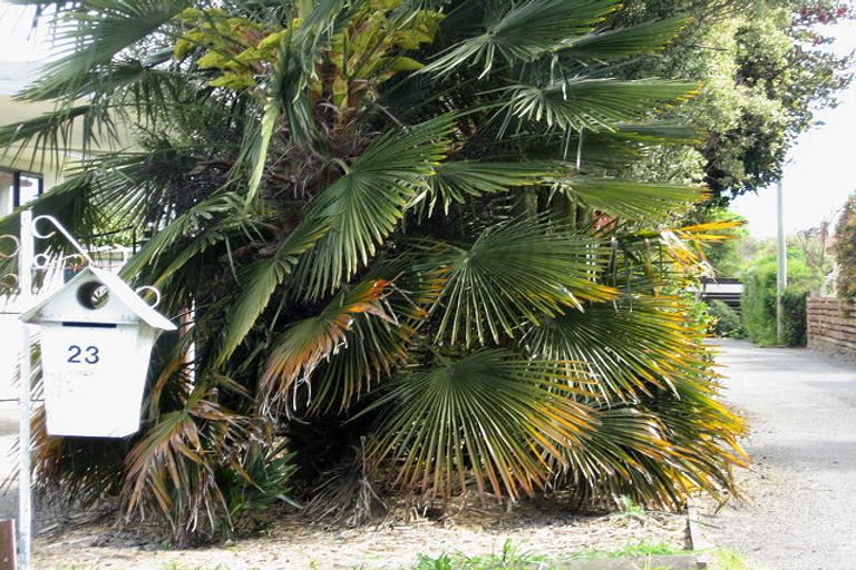 Photo of property in 23 Muller Road, Blenheim, 7201