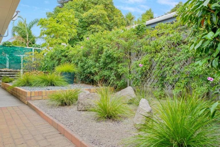 Photo of property in 51b Landing Road, Whakatane, 3120