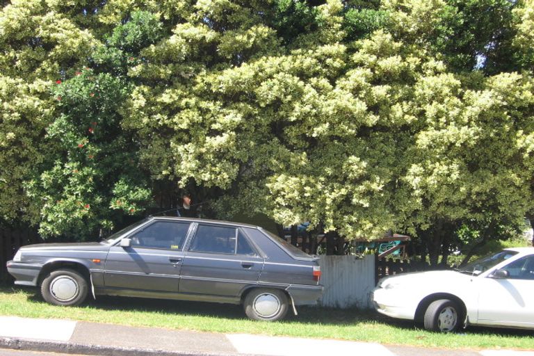 Photo of property in 23 Cunliffe Place, Glenfield, Auckland, 0629