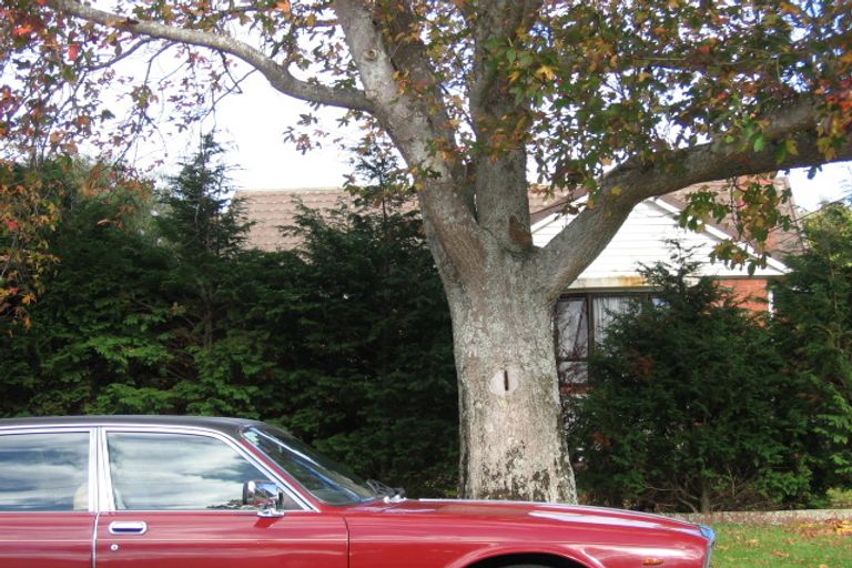 Photo of property in 31 Allen Street, Boulcott, Lower Hutt, 5011