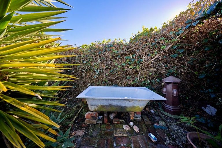 Photo of property in 123 Beach Road, Kaikoura, 7300