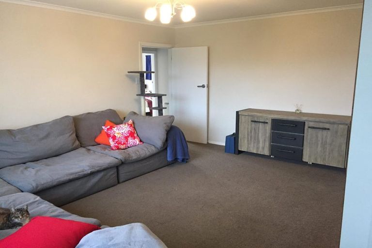 Photo of property in 119 Warren Crescent, Hillmorton, Christchurch, 8025