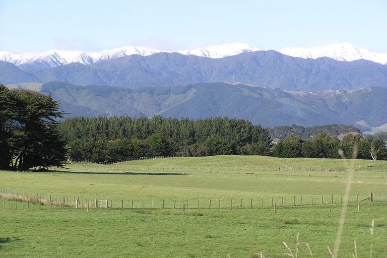 Photo of property in 96 Bergin Road, Foxton, 4814