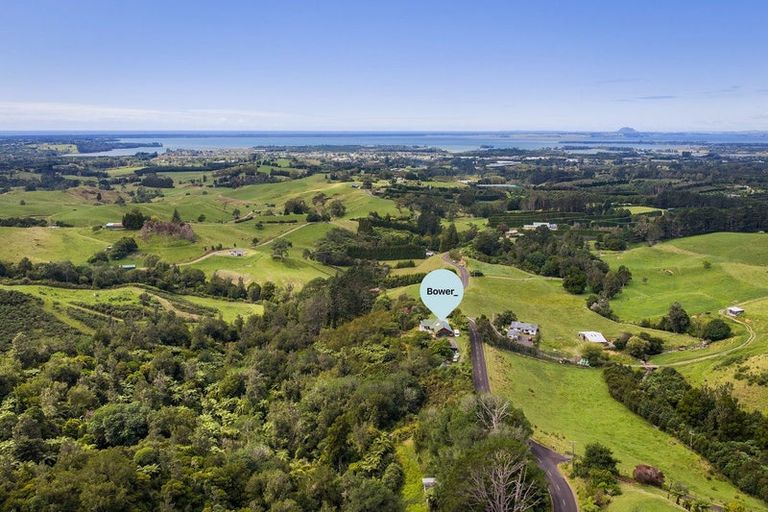 Photo of property in 360a Busby Road, Tahawai, Katikati, 3170