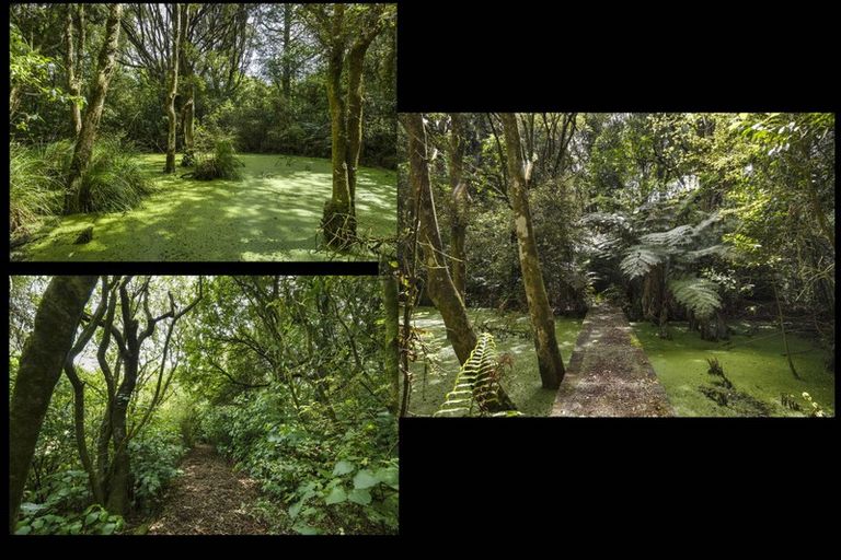 Photo of property in 180 Moonshine Valley Road, Aokautere, 4471