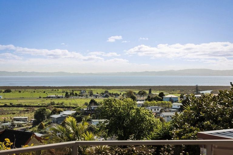 Photo of property in 224 Reservoir Road, Thames, 3500