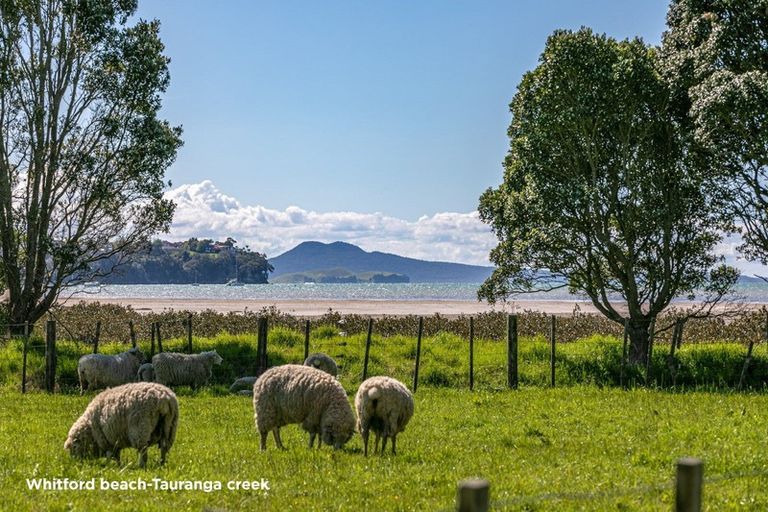 Photo of property in 250 Clifton Road, Whitford, 2571