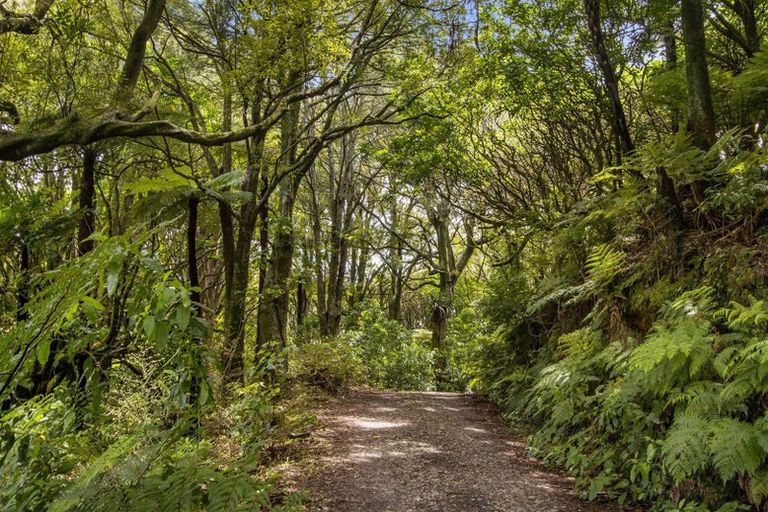 Photo of property in 166b Heard Road, Waihi, 3681