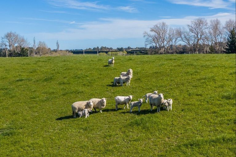Photo of property in 266 Rangiora Leithfield Road, Sefton, 7477