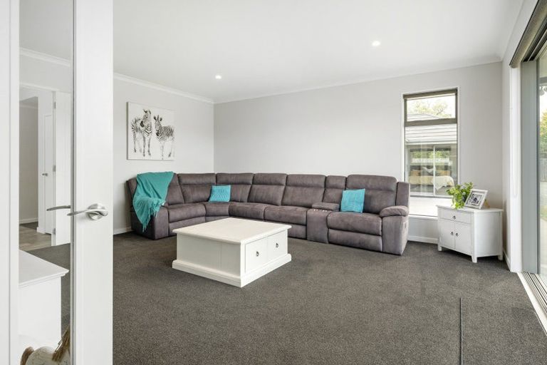 Photo of property in 25 Birchwood Avenue, Burleigh, Blenheim, 7201