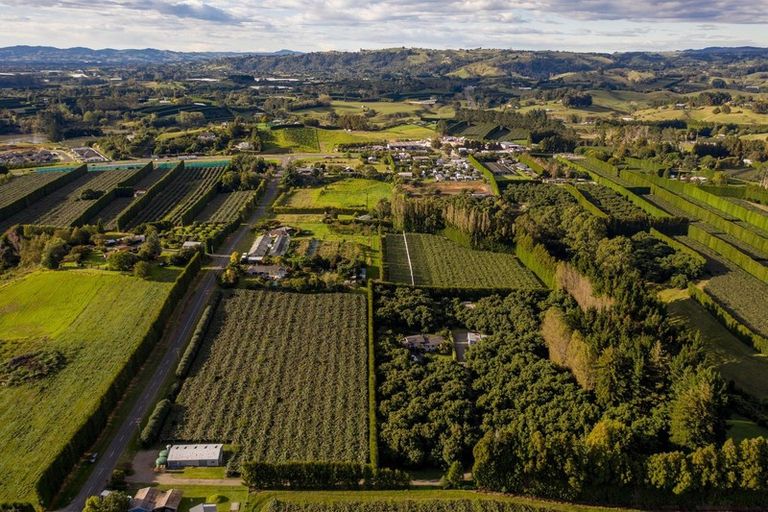 Photo of property in 39 Prole Road, Omokoroa, Tauranga, 3172