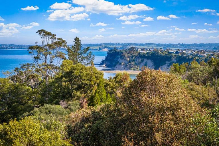 Photo of property in 79 Roberts Road, Matakatia, Whangaparaoa, 0930