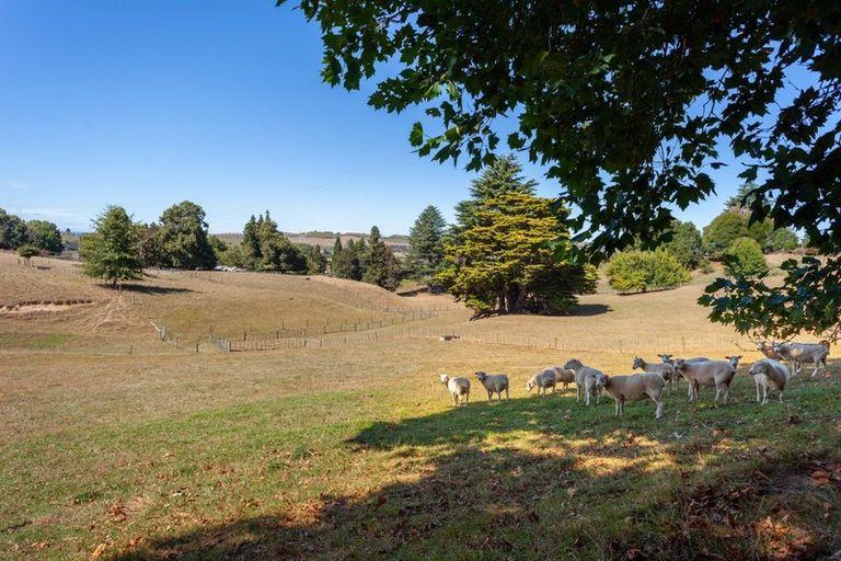 Photo of property in 103 Taotaoroa Road, Karapiro, Matamata, 3472