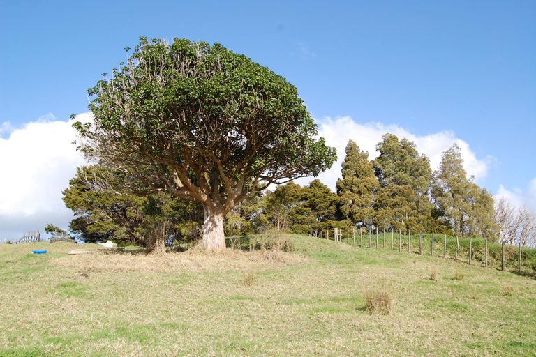 Photo of property in 40 Tawa Avenue, Kaiwaka, 0573