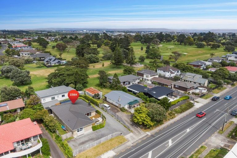 Photo of property in 238a Oceanbeach Road, Mount Maunganui, 3116