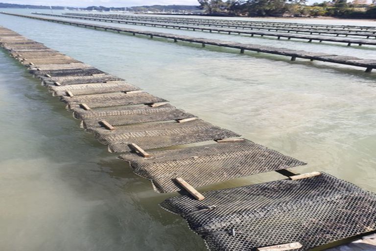 Photo of property in 50 Kiteone Road, Parua Bay, Whangarei, 0174