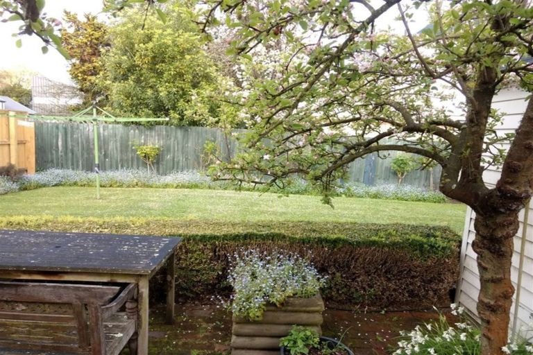 Photo of property in 43 Clissold Street, Merivale, Christchurch, 8014