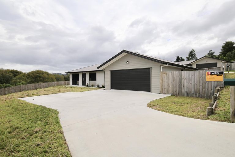 Photo of property in 47a Hartis Avenue, Huntly, 3700