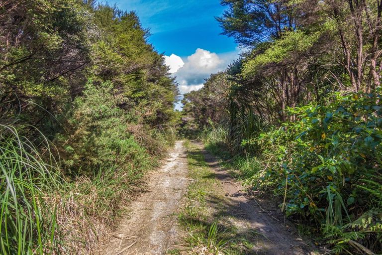 Photo of property in 188 Wishart Road, Helensville, 0875