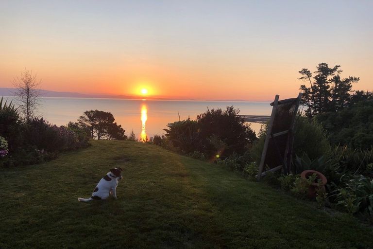 Photo of property in 858d Thames Coast Sh25 Road, Te Mata, Thames, 3575