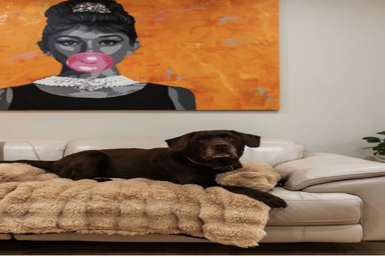 Photo of property in 14 John Britten Lane, Riccarton, Christchurch, 8011