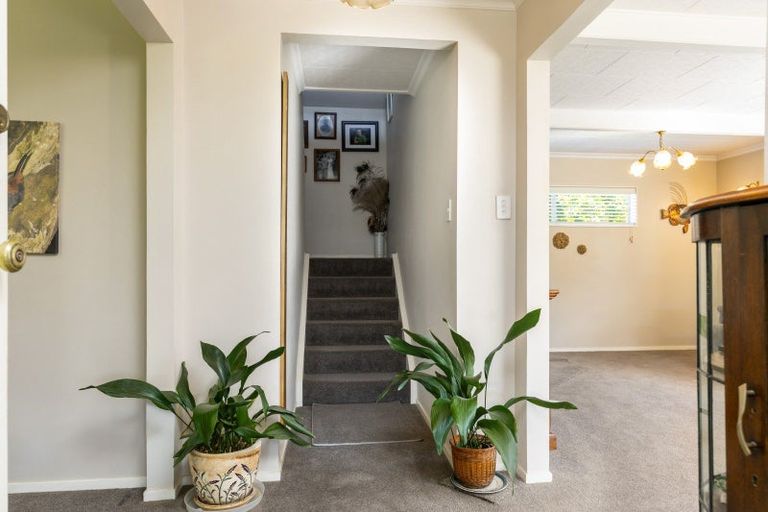 Photo of property in 7 Hiley Street, Springlands, Blenheim, 7201