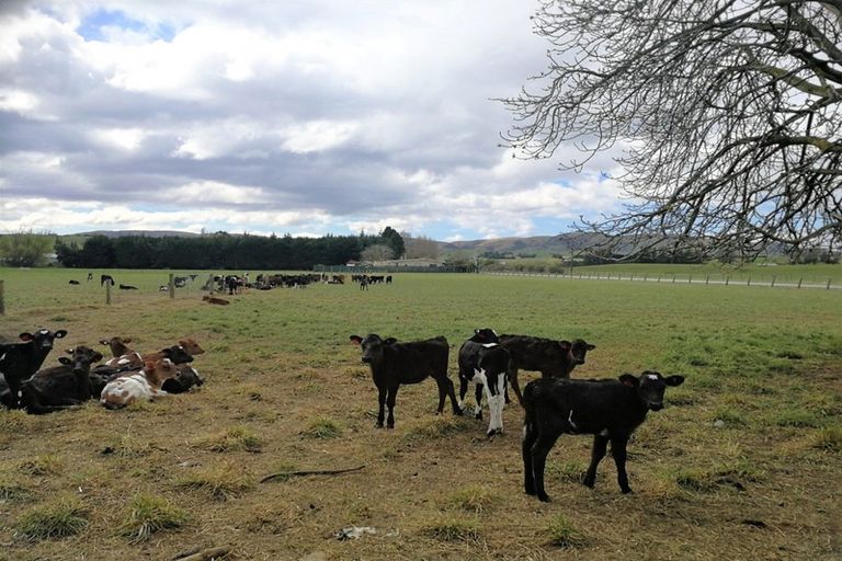 Photo of property in 195 Wendon Creek Road, Wendon, Gore, 9777