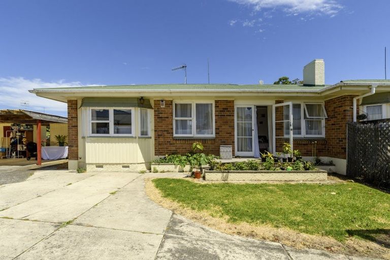 Photo of property in 219c Otumoetai Road, Otumoetai, Tauranga, 3110
