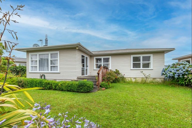 Photo of property in 20 Braemar Street, Levin, 5510