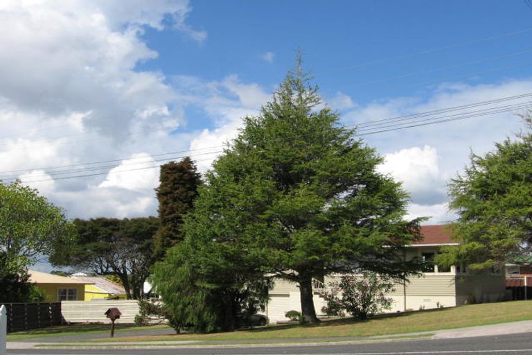 Photo of property in 66 Willerton Avenue, New Lynn, Auckland, 0600