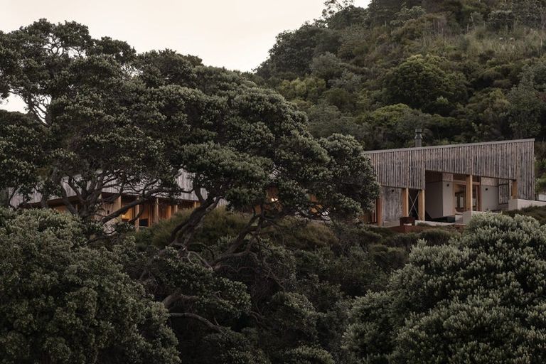 Photo of property in 344 Black Jack Road, Kuaotunu, Whitianga, 3592