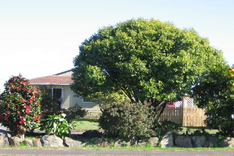 Photo of property in 26 Bunnythorpe Road, Papakura, 2110