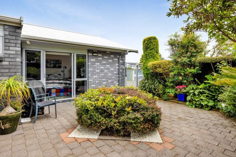 Photo of property in 6 Argyle Place, Highlands Park, New Plymouth, 4312