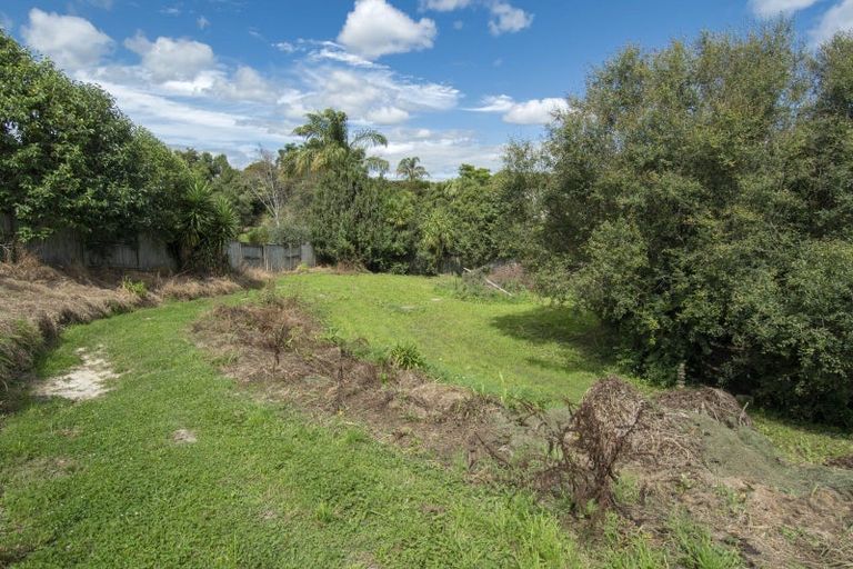 Photo of property in 17 Milbrook Place, Chartwell, Hamilton, 3210