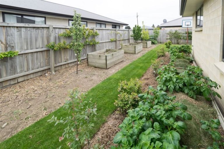 Photo of property in 11 Shearer Street, Tinwald, Ashburton, 7700