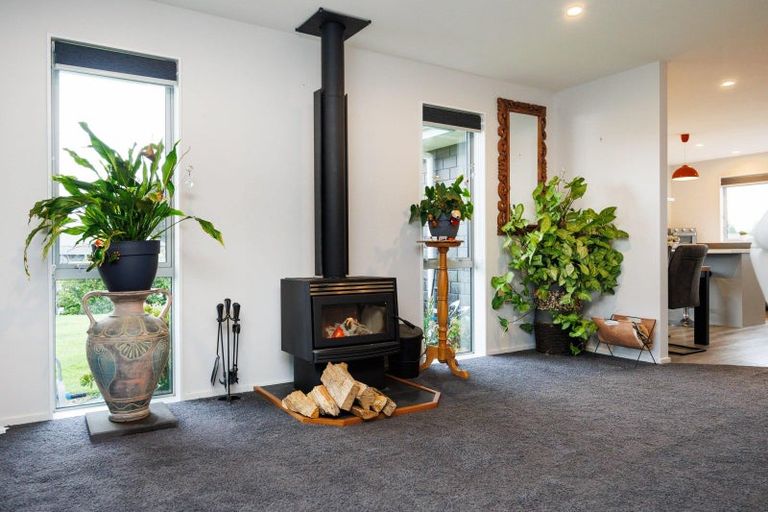 Photo of property in 31 Wapiti Avenue, Feilding, 4775