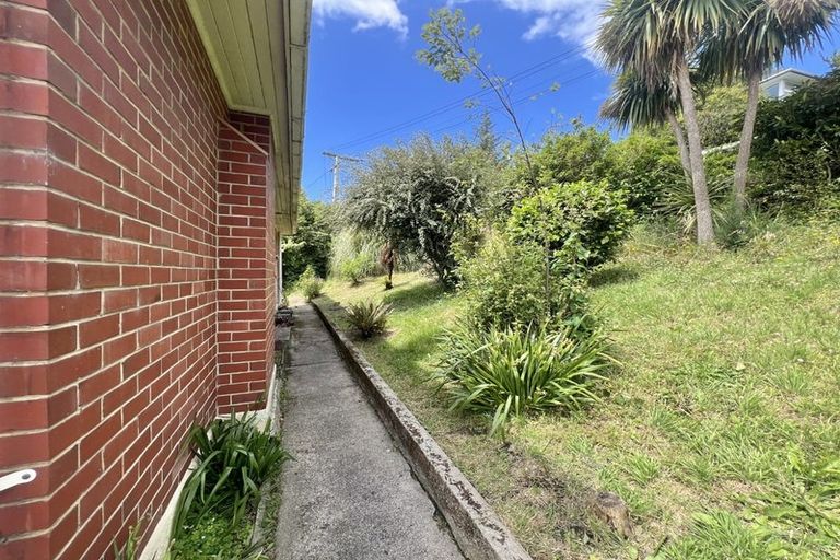 Photo of property in 5 Osborne Terrace, Mornington, Dunedin, 9011