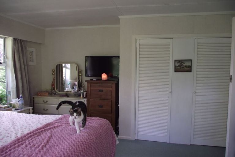 Photo of property in 14 Princes Street, Waihi, 3610