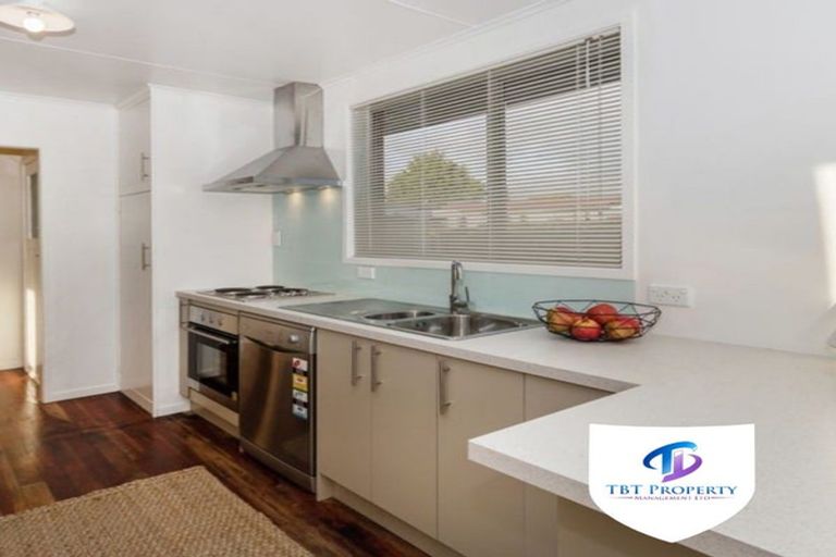 Photo of property in 26 Goodwin Drive, Rosehill, Papakura, 2113