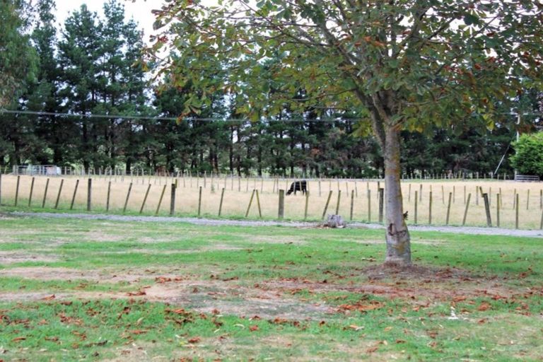 Photo of property in 12 Totaramahonga Road, Dannevirke, 4972