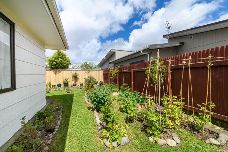 Photo of property in 46 Weld Street, Feilding, 4702